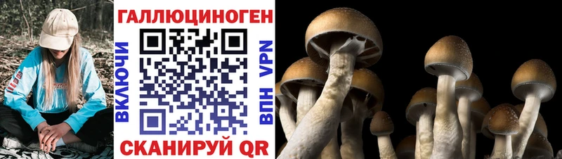 Галлюциногенные грибы MAGIC MUSHROOMS  Пласт 